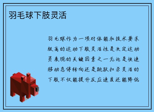 羽毛球下肢灵活